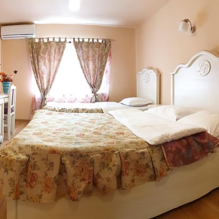 סוסאבה Leaganul Bucovinei Guest House מראה חיצוני תמונה
