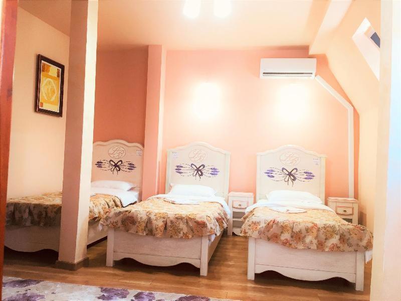 סוסאבה Leaganul Bucovinei Guest House חדר תמונה