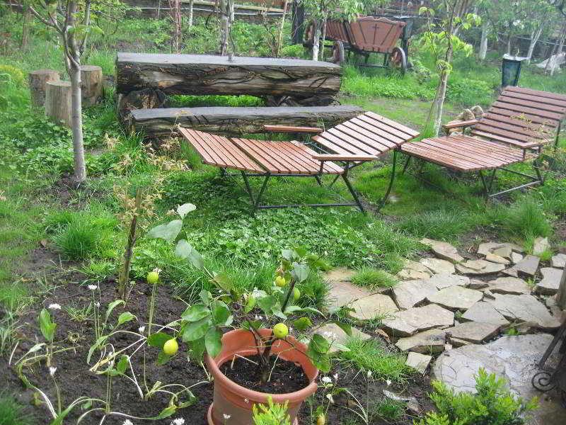 סוסאבה Leaganul Bucovinei Guest House מראה חיצוני תמונה