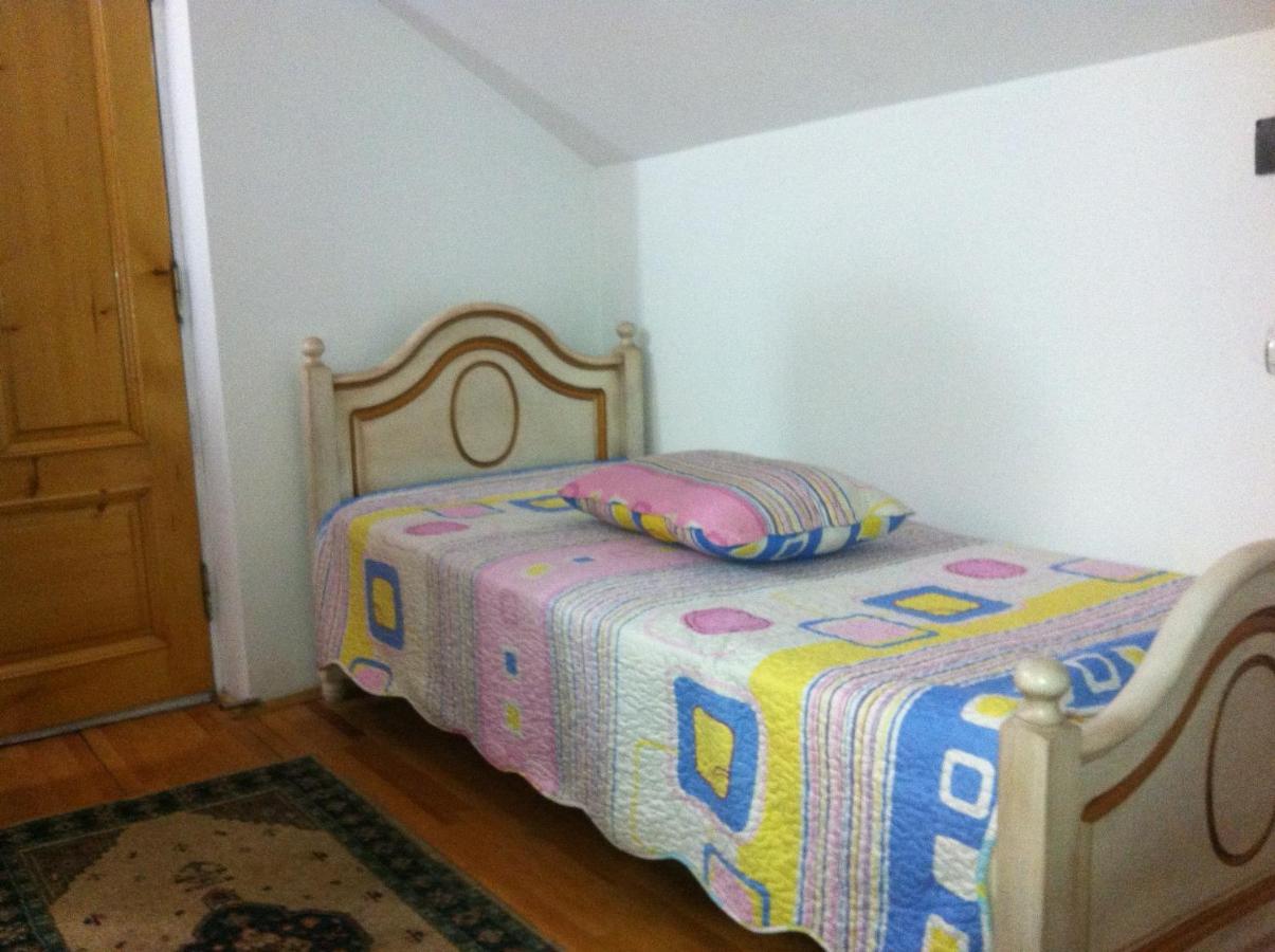 סוסאבה Leaganul Bucovinei Guest House מראה חיצוני תמונה