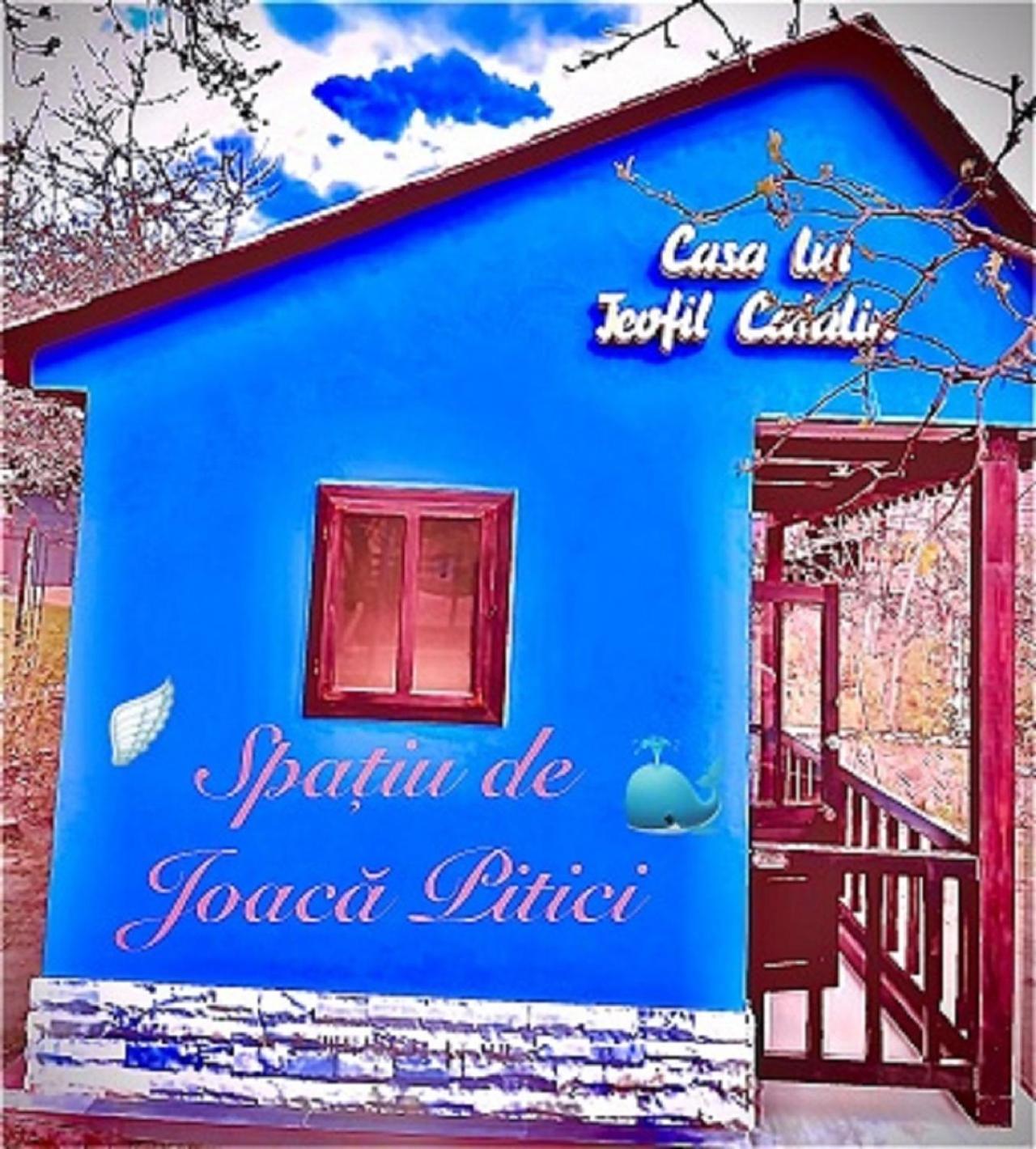 סוסאבה Leaganul Bucovinei Guest House מראה חיצוני תמונה