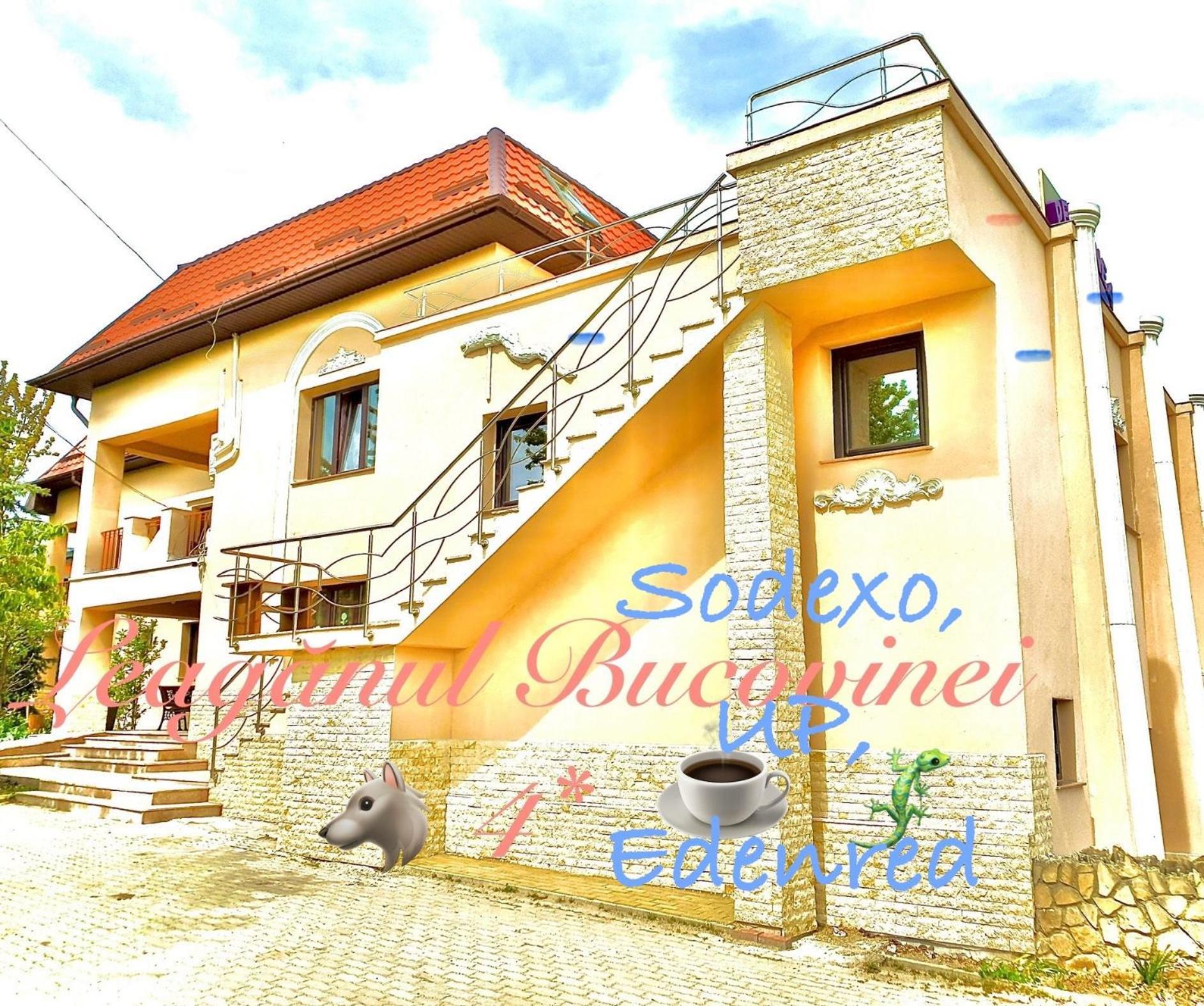 סוסאבה Leaganul Bucovinei Guest House מראה חיצוני תמונה