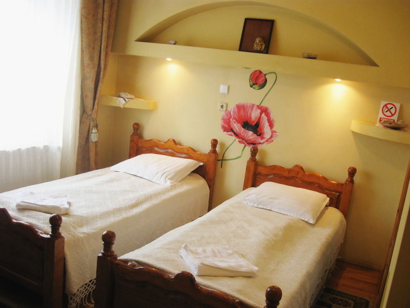 סוסאבה Leaganul Bucovinei Guest House מראה חיצוני תמונה