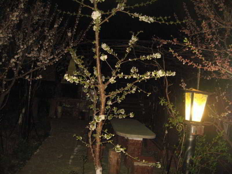 סוסאבה Leaganul Bucovinei Guest House מראה חיצוני תמונה