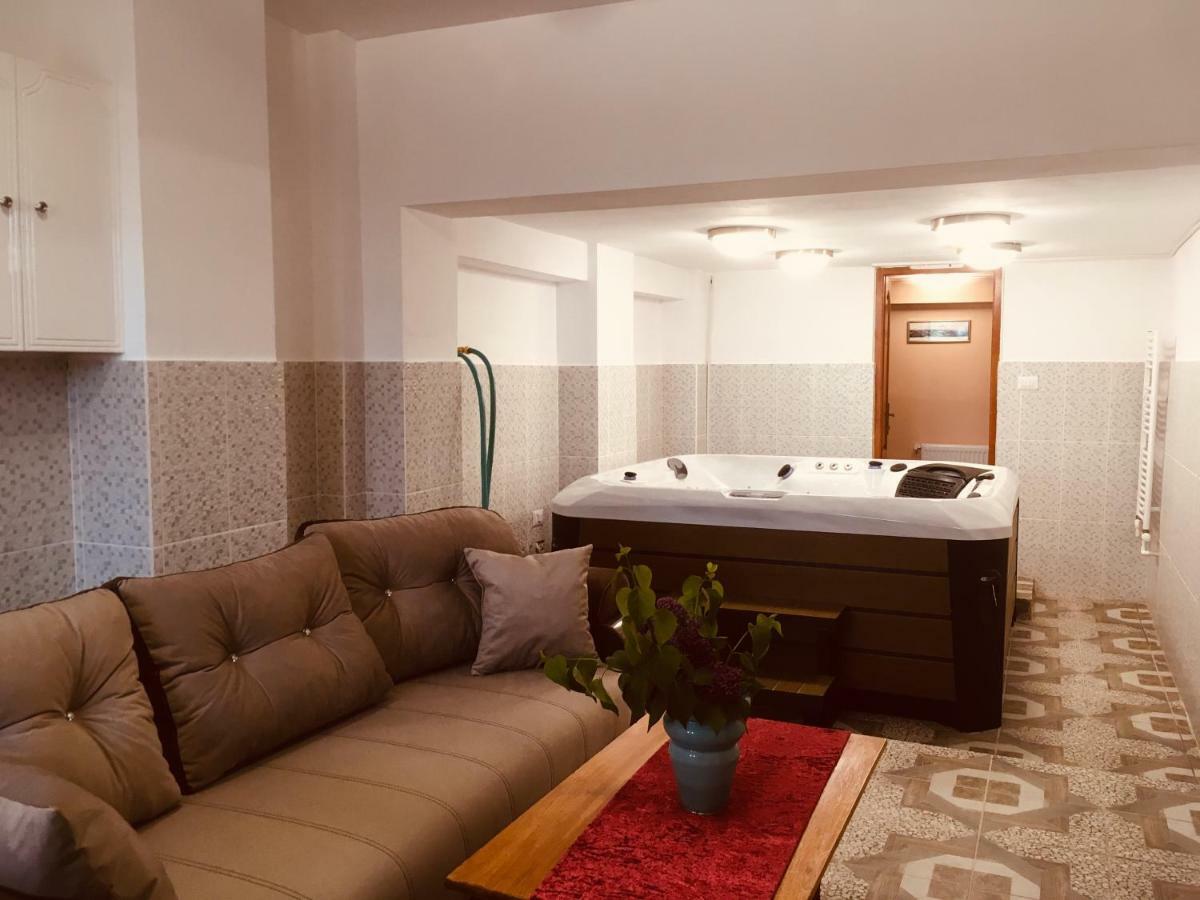 סוסאבה Leaganul Bucovinei Guest House מראה חיצוני תמונה